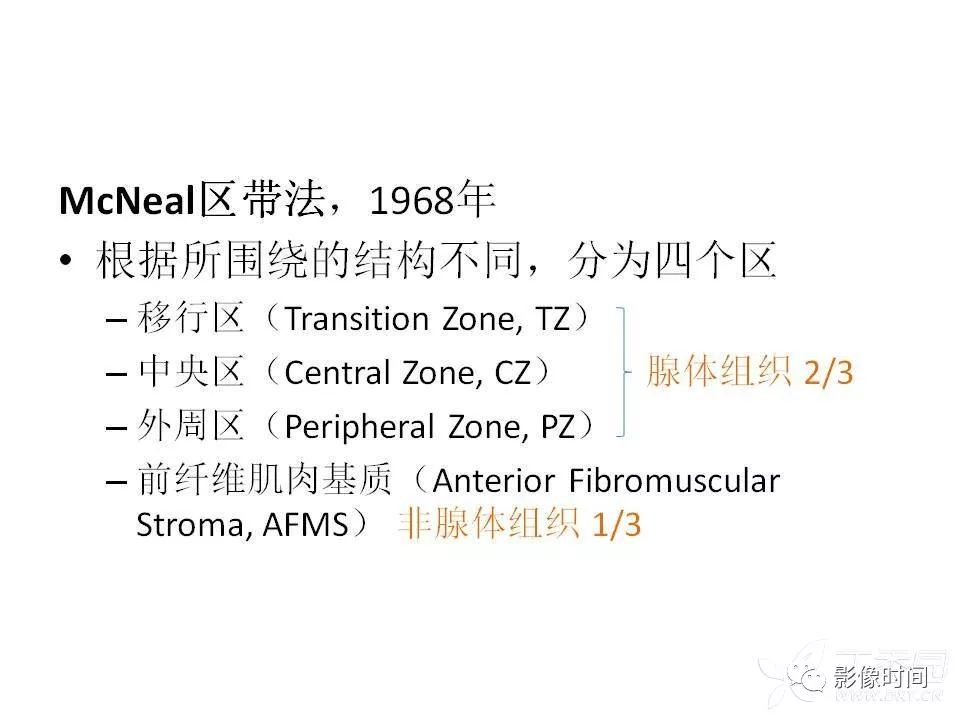 【PPT】前列腺影像解剖与功能解析