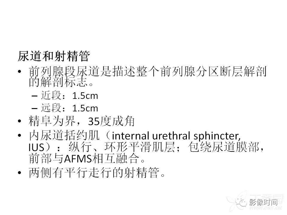 【PPT】前列腺影像解剖与功能解析