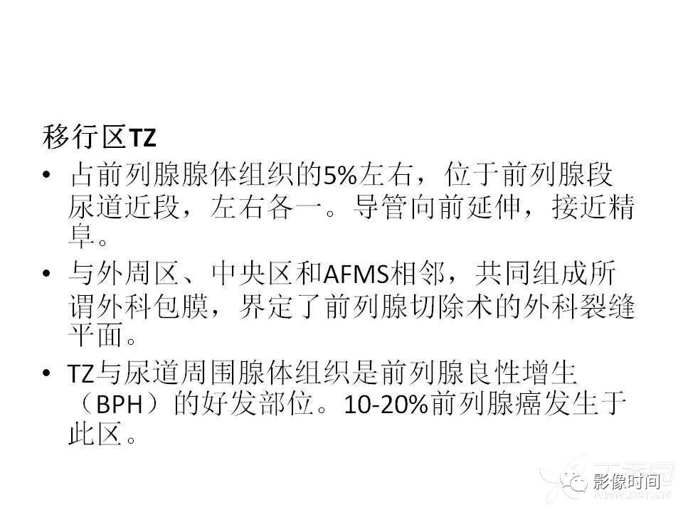 【PPT】前列腺影像解剖与功能解析