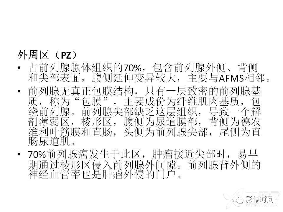 【PPT】前列腺影像解剖与功能解析