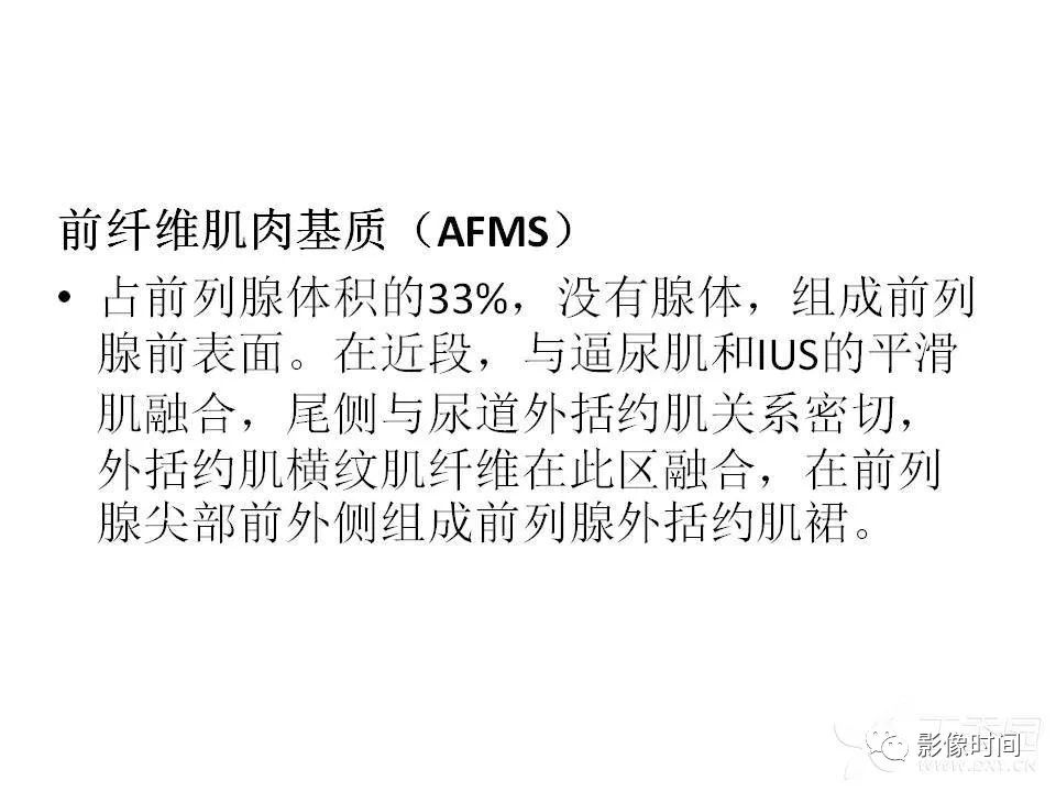 【PPT】前列腺影像解剖与功能解析