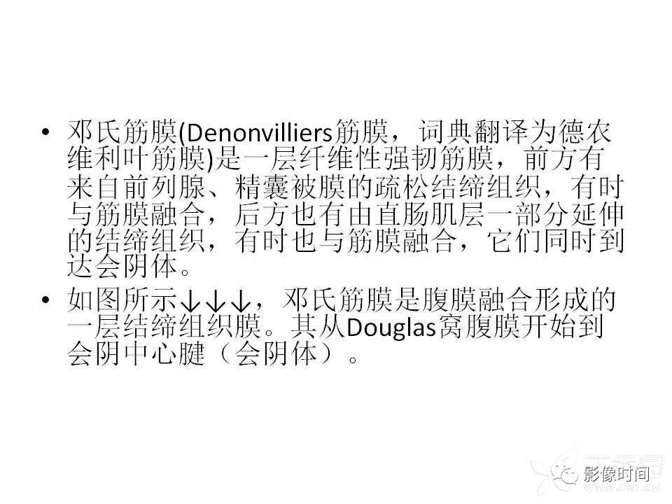【PPT】前列腺影像解剖与功能解析