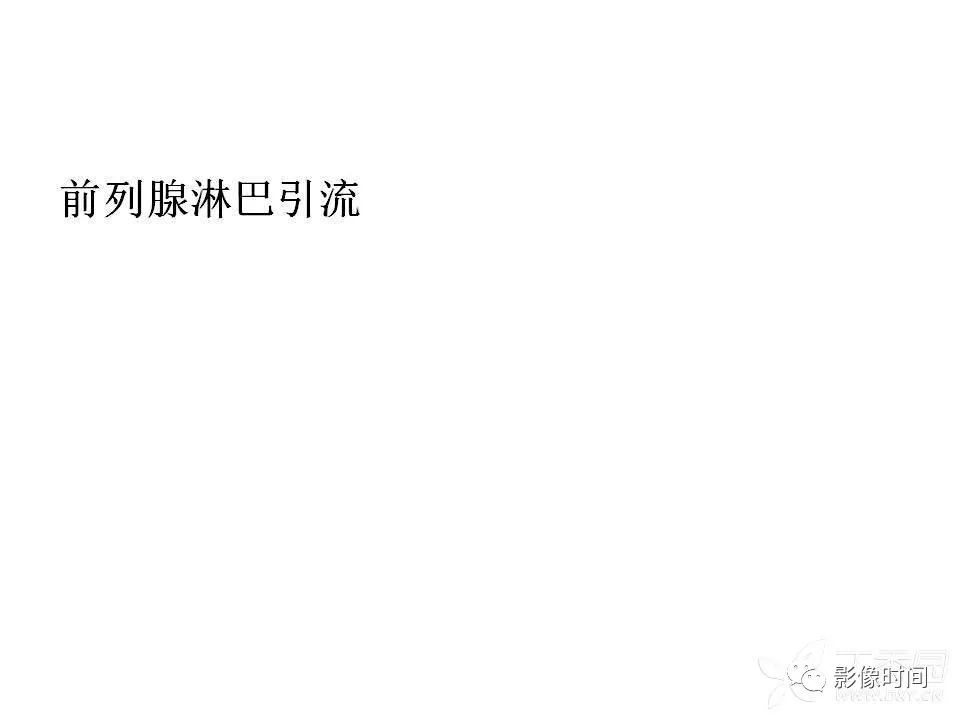 【PPT】前列腺影像解剖与功能解析