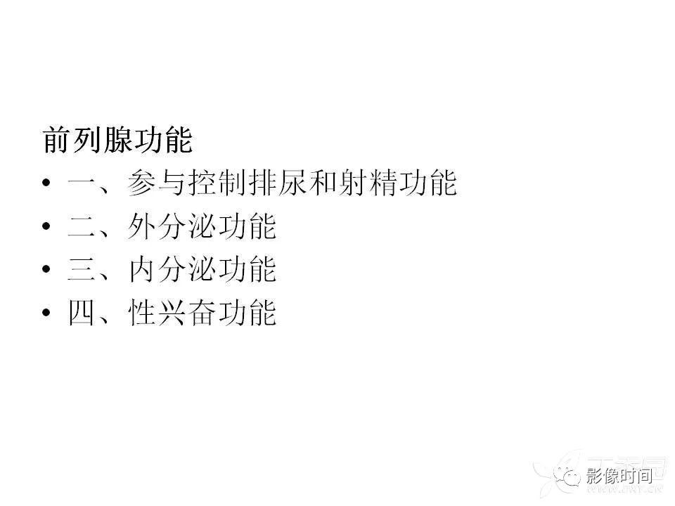 【PPT】前列腺影像解剖与功能解析