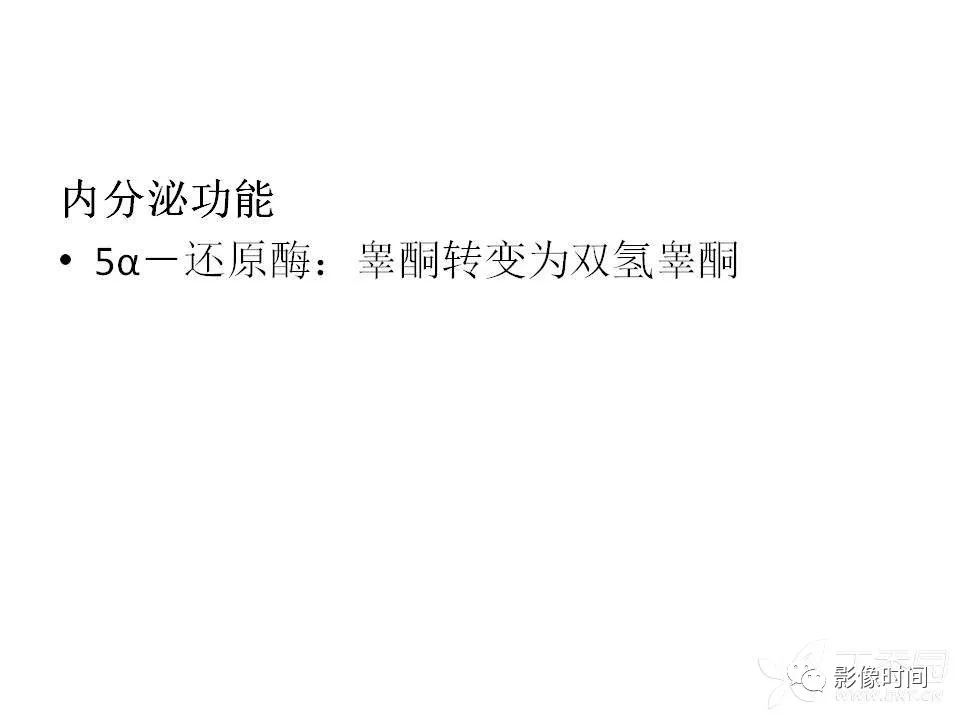 【PPT】前列腺影像解剖与功能解析