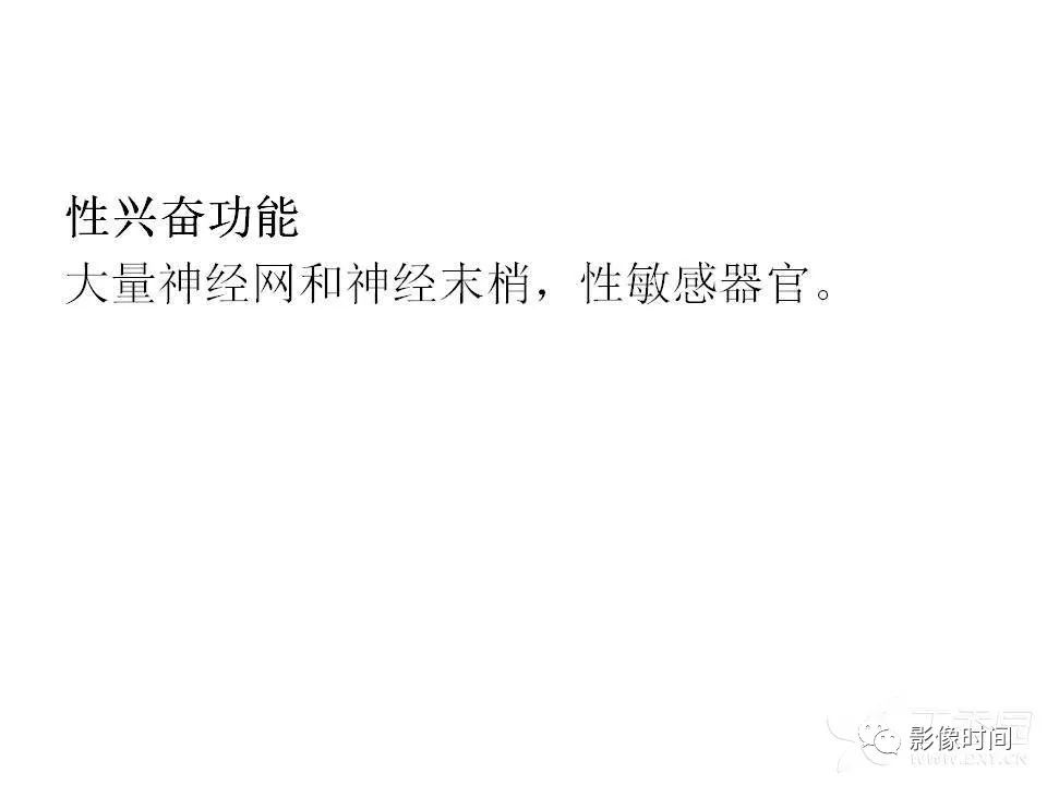 【PPT】前列腺影像解剖与功能解析