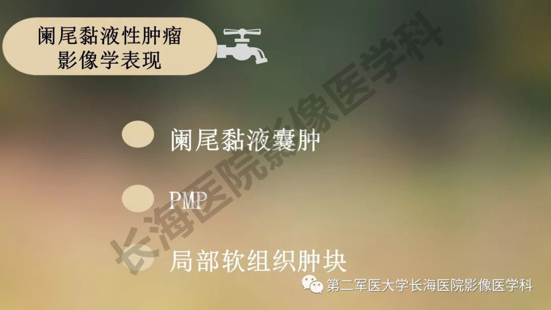 【PPT】阑尾常见原发肿瘤影像学表现