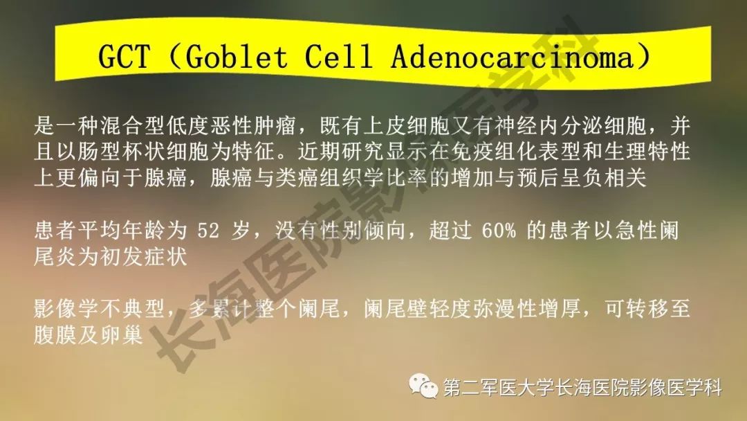 【PPT】阑尾常见原发肿瘤影像学表现