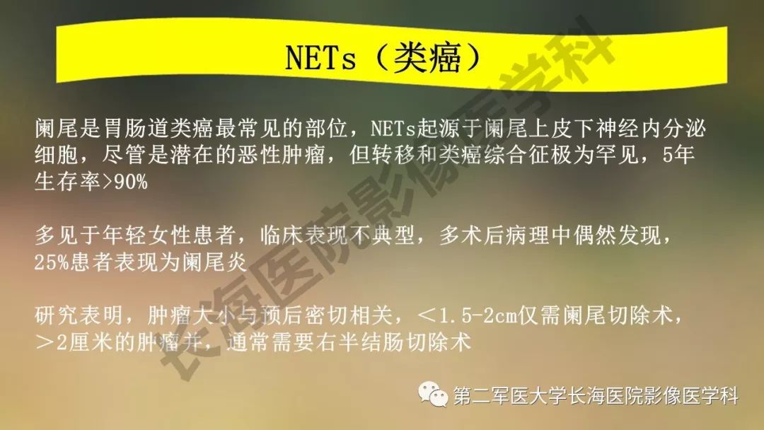 【PPT】阑尾常见原发肿瘤影像学表现