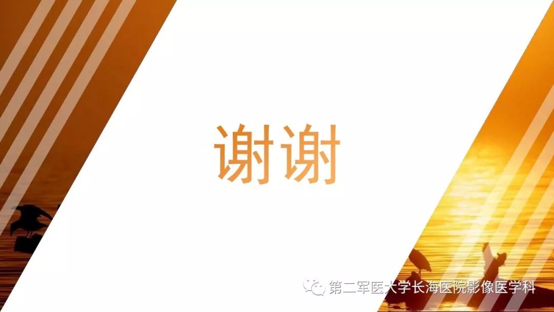【PPT】阑尾常见原发肿瘤影像学表现