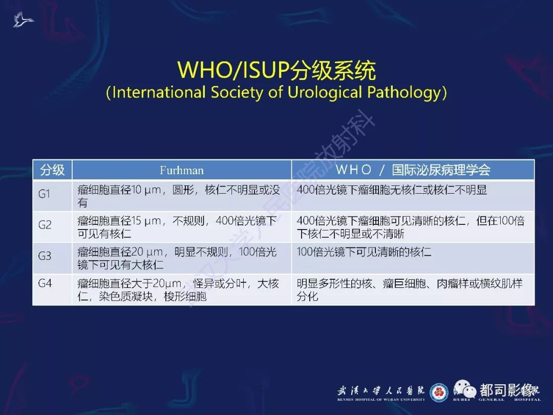 【PPT】常见肾脏肿瘤影像诊断