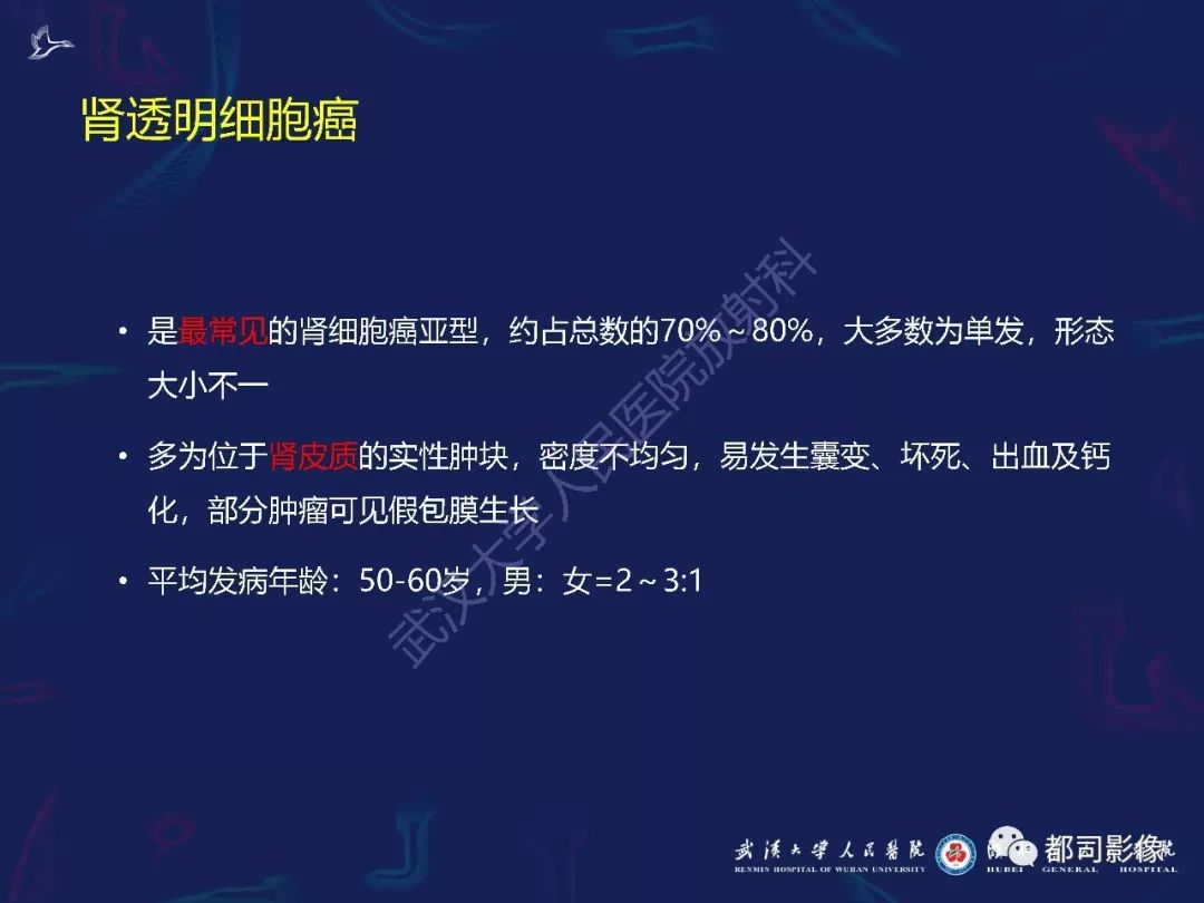 【PPT】常见肾脏肿瘤影像诊断