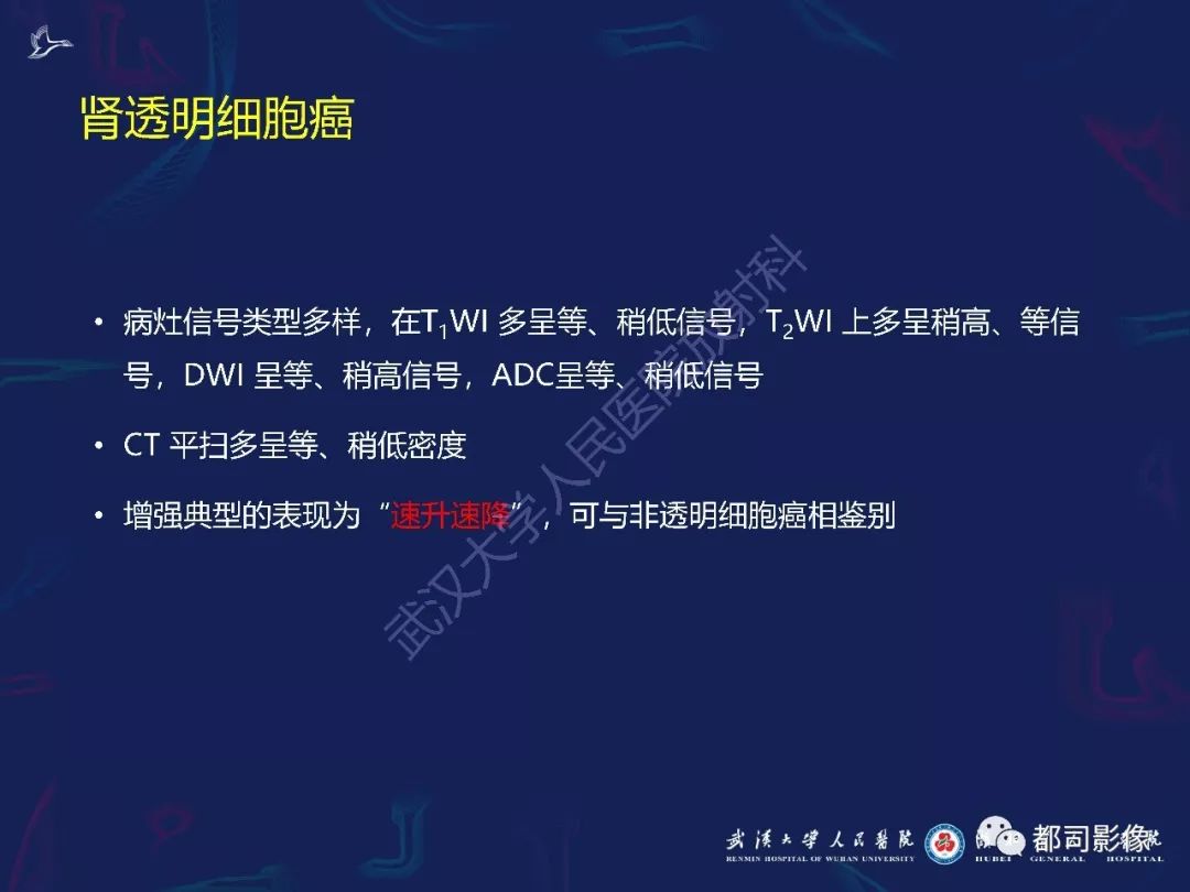 【PPT】常见肾脏肿瘤影像诊断