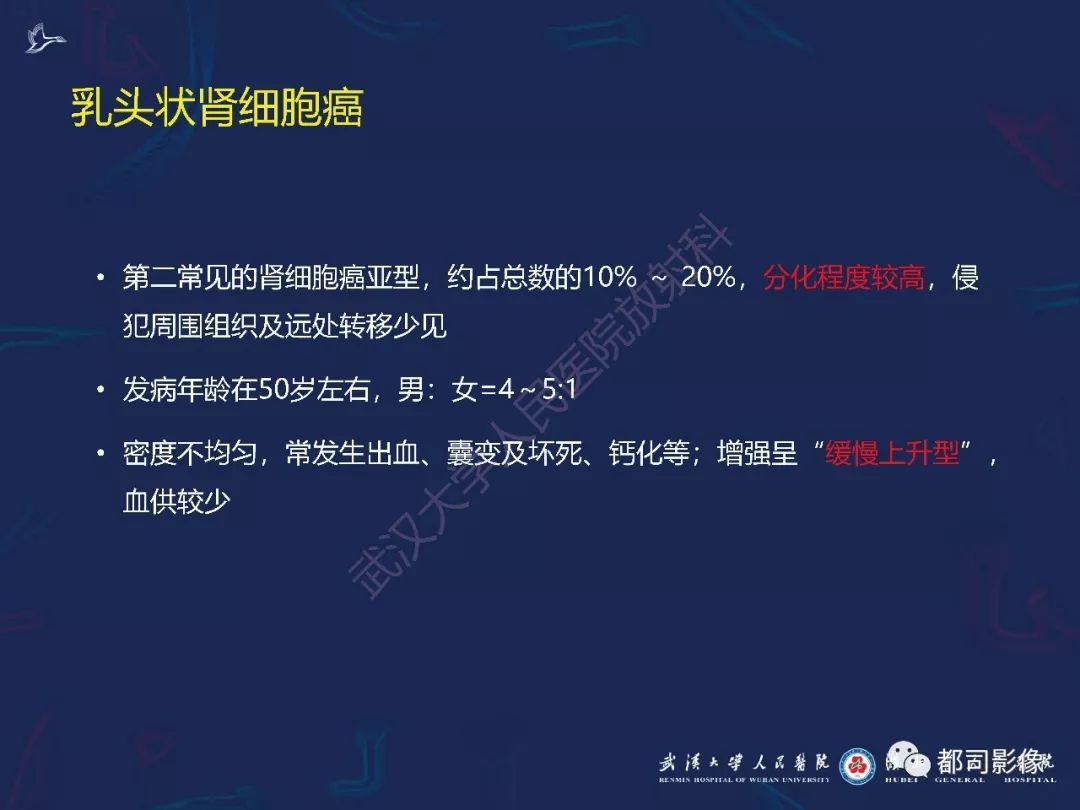 【PPT】常见肾脏肿瘤影像诊断