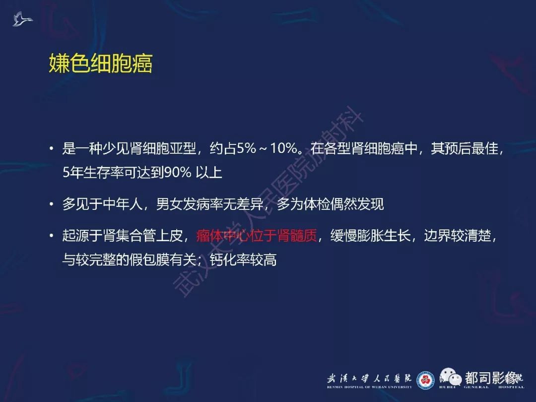 【PPT】常见肾脏肿瘤影像诊断
