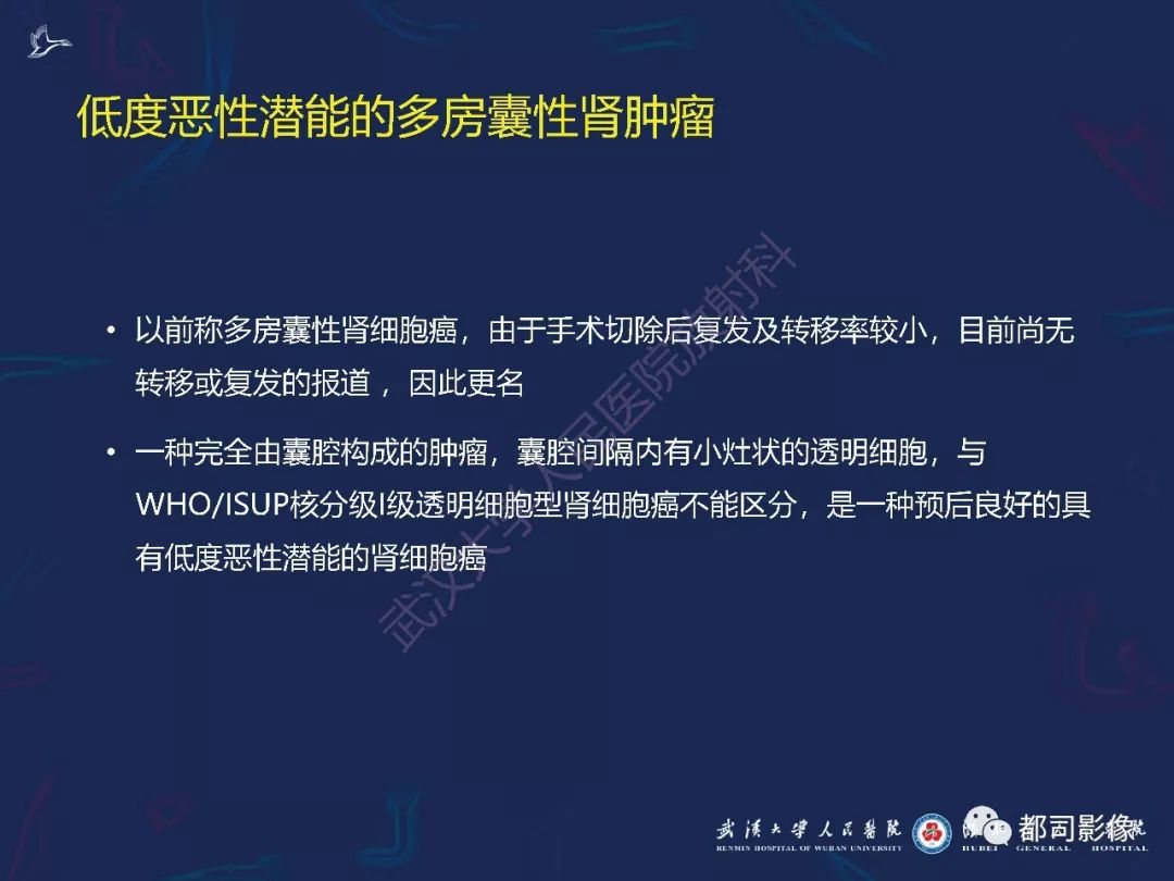 【PPT】常见肾脏肿瘤影像诊断