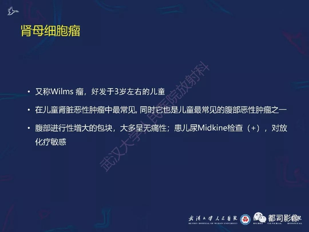【PPT】常见肾脏肿瘤影像诊断