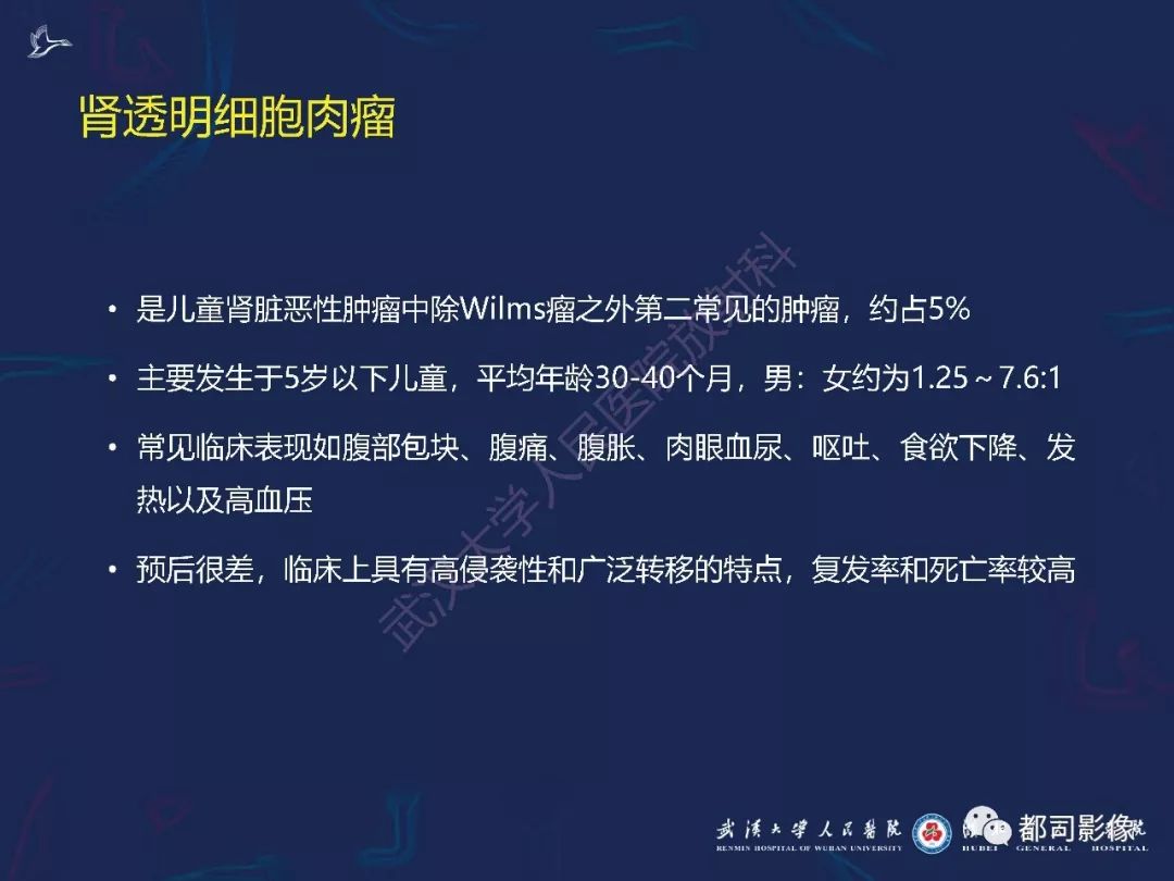 【PPT】常见肾脏肿瘤影像诊断