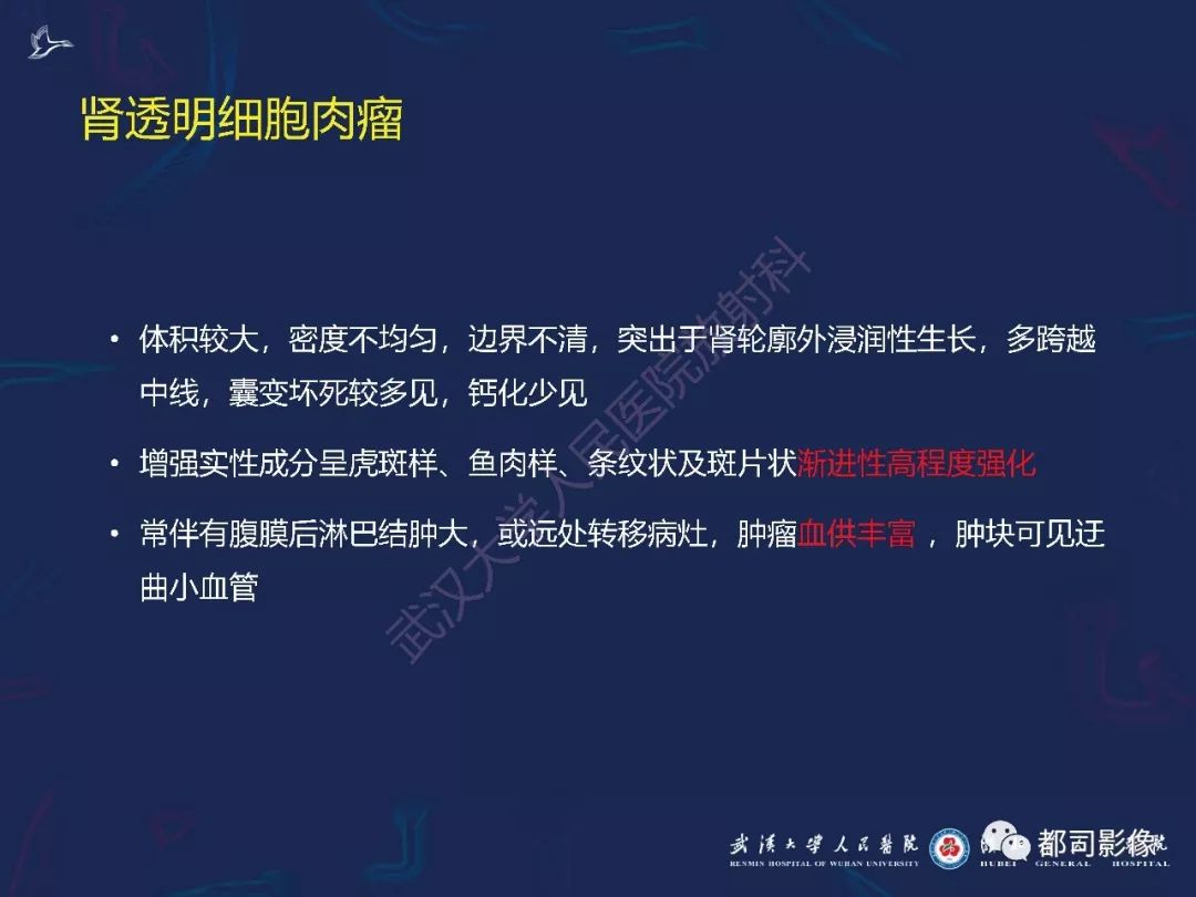 【PPT】常见肾脏肿瘤影像诊断