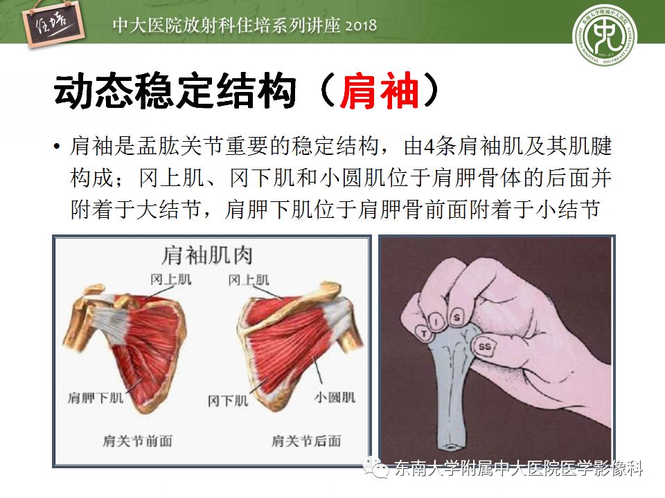 【PPT】肩关节病变影像诊断分析