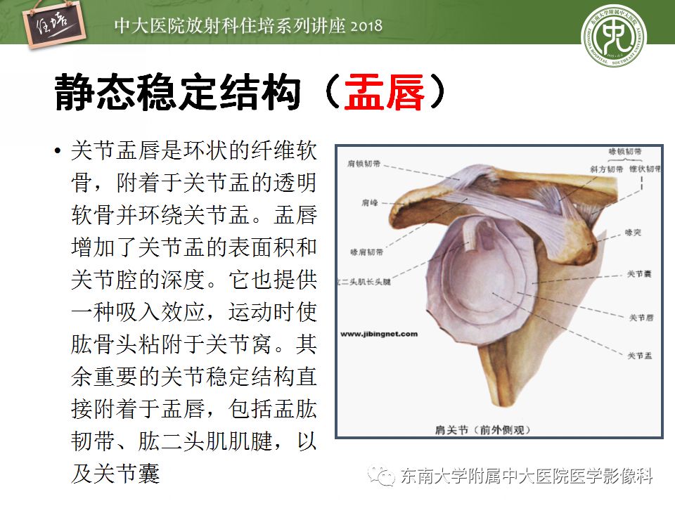 【PPT】肩关节病变影像诊断分析