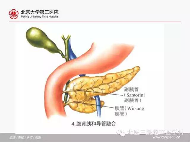 【PPT】胰腺常见解剖变异及影像学表现