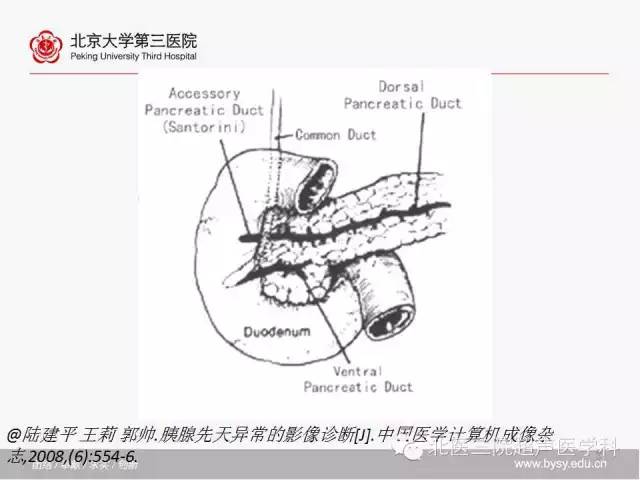 【PPT】胰腺常见解剖变异及影像学表现
