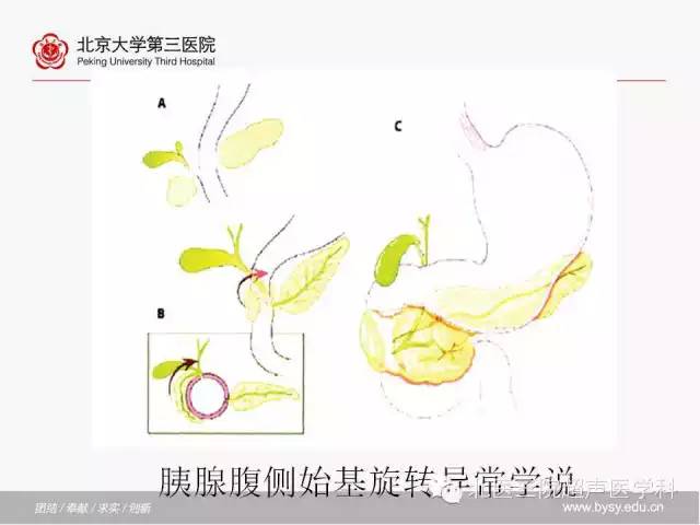 【PPT】胰腺常见解剖变异及影像学表现