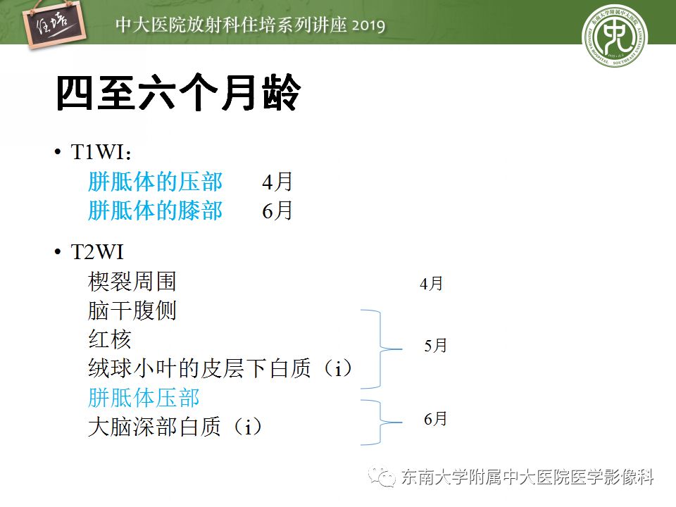 【PPT】小儿脑发育的MRI表现