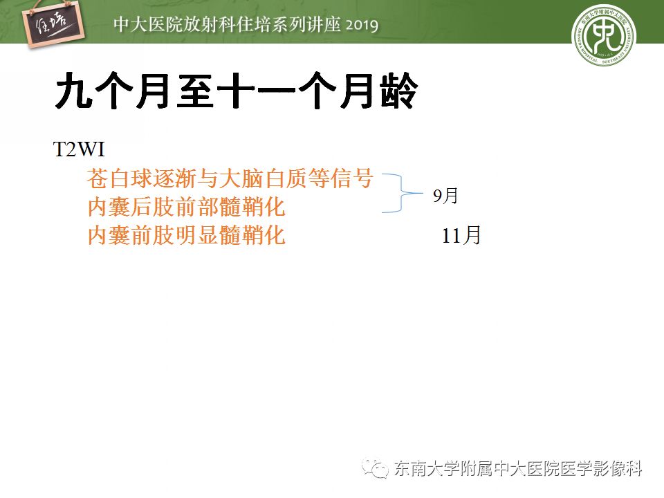 【PPT】小儿脑发育的MRI表现