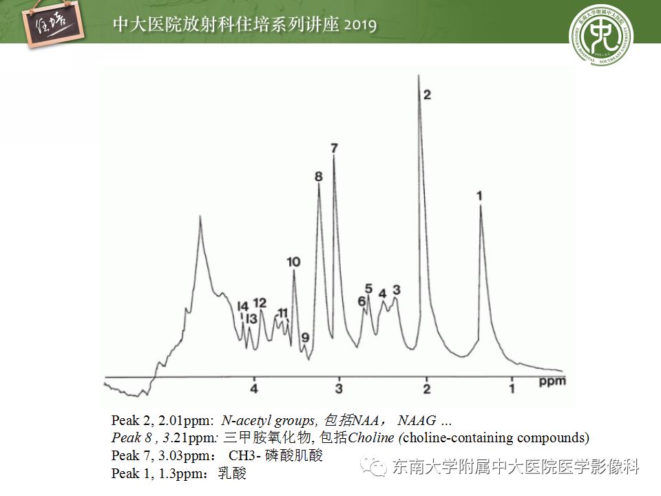 【PPT】小儿脑发育的MRI表现