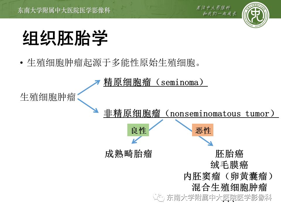 【病例】纵隔生殖细胞肿瘤1例CT