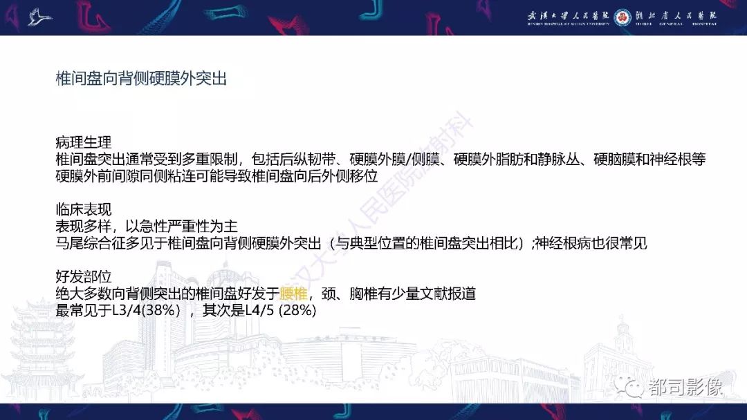 【PPT】椎间盘不常见病变影像诊断