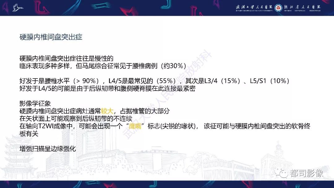 【PPT】椎间盘不常见病变影像诊断