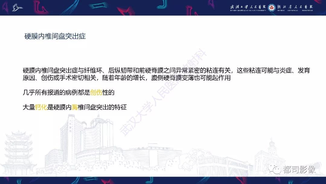 【PPT】椎间盘不常见病变影像诊断