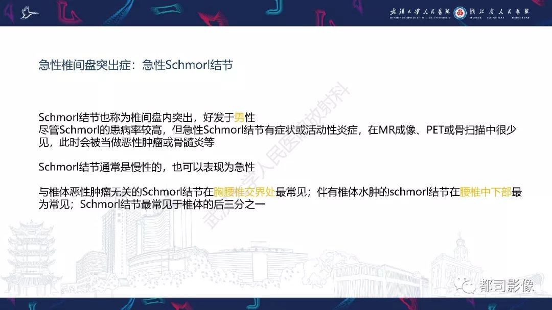 【PPT】椎间盘不常见病变影像诊断