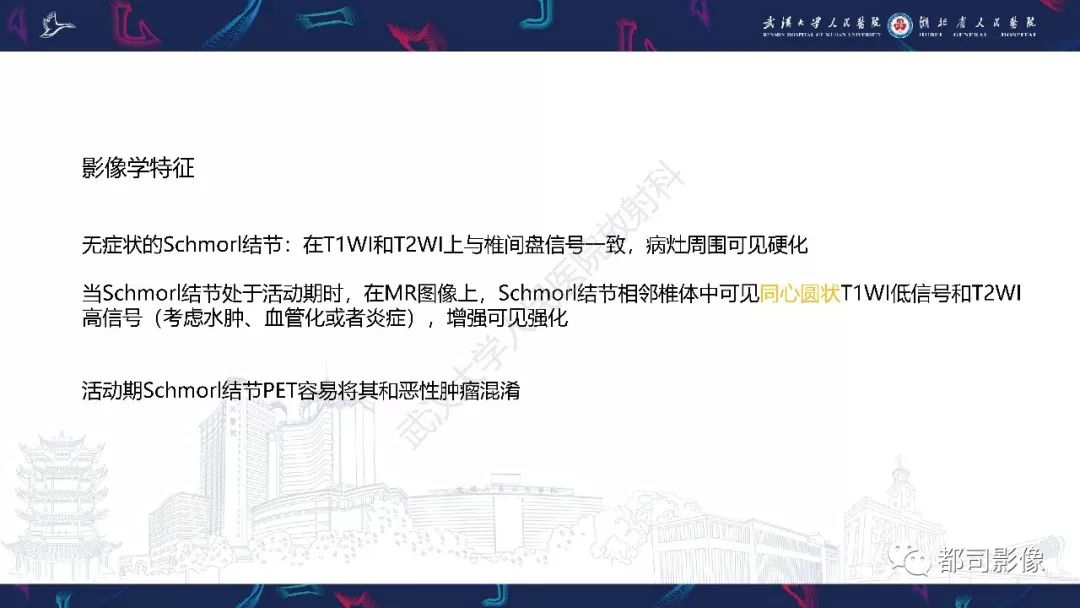 【PPT】椎间盘不常见病变影像诊断