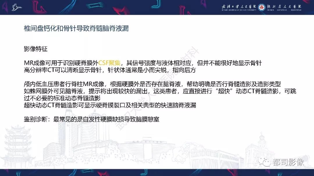 【PPT】椎间盘不常见病变影像诊断