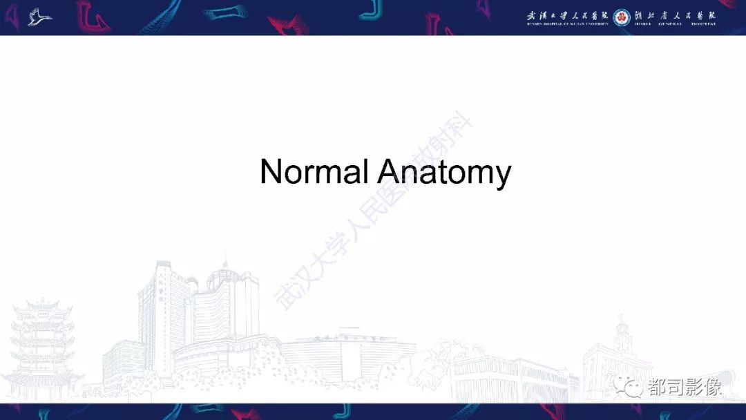 【PPT】肝脏血管肉瘤影像诊断