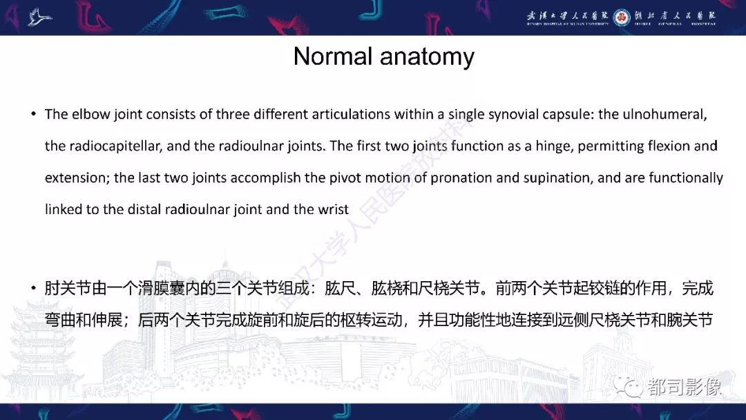 【PPT】肝脏血管肉瘤影像诊断