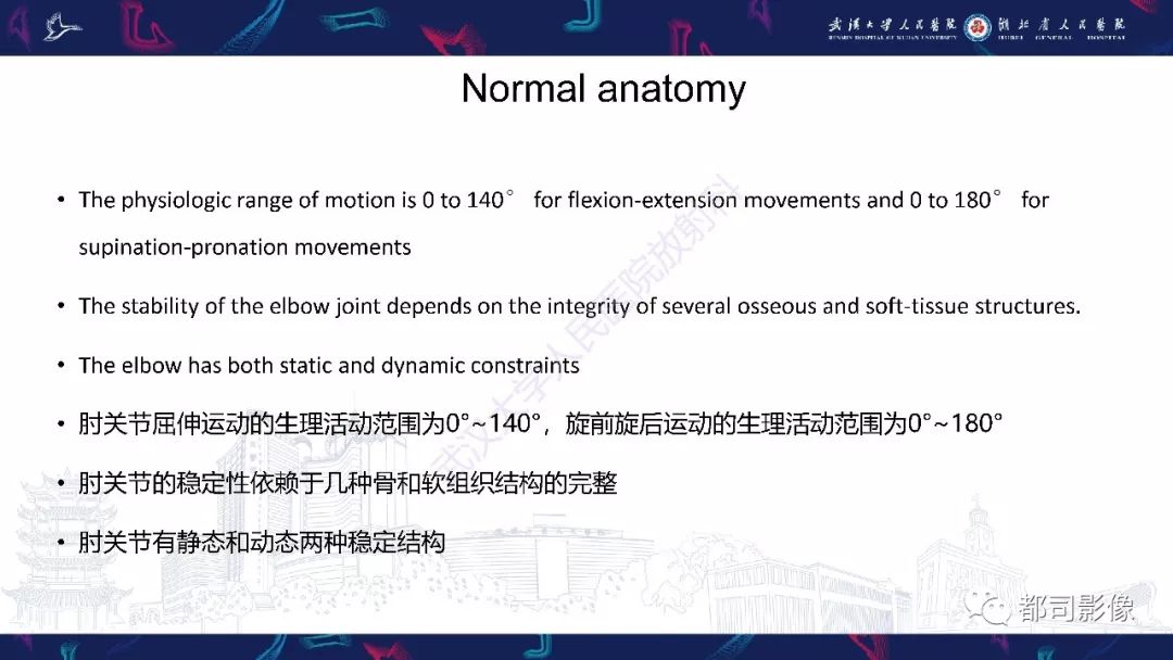 【PPT】肝脏血管肉瘤影像诊断