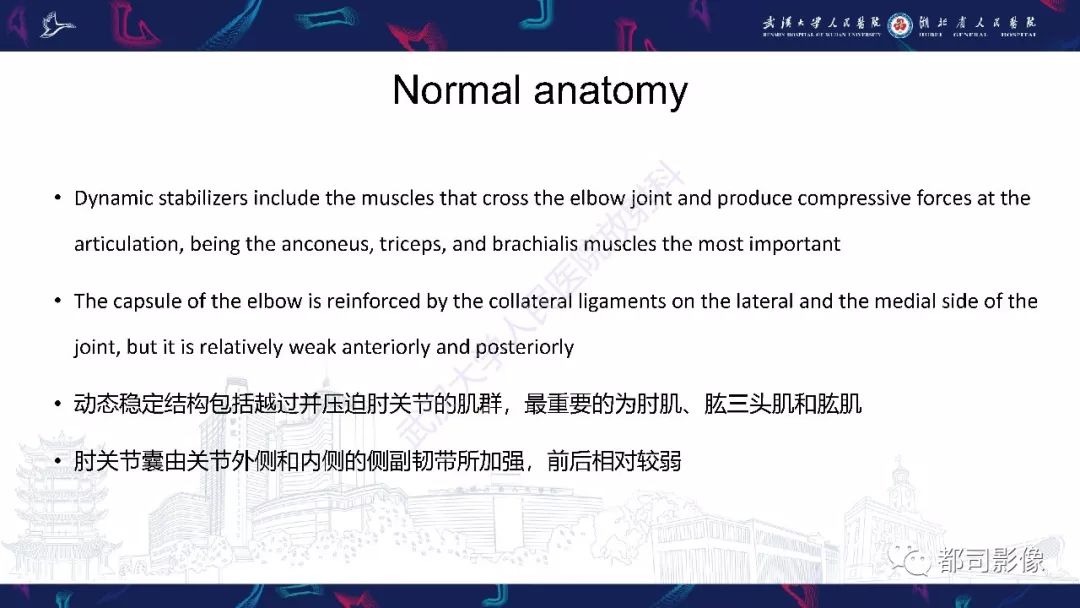 【PPT】肝脏血管肉瘤影像诊断