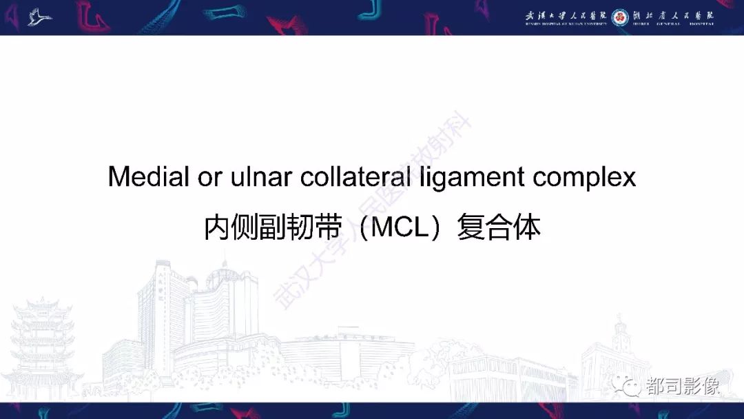 【PPT】肝脏血管肉瘤影像诊断