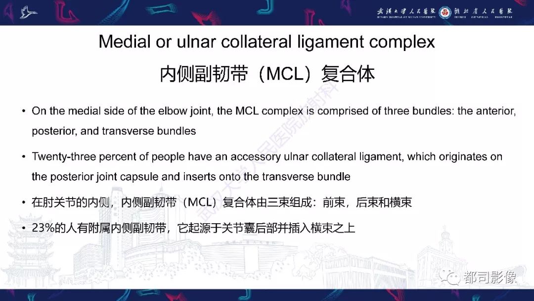 【PPT】肝脏血管肉瘤影像诊断