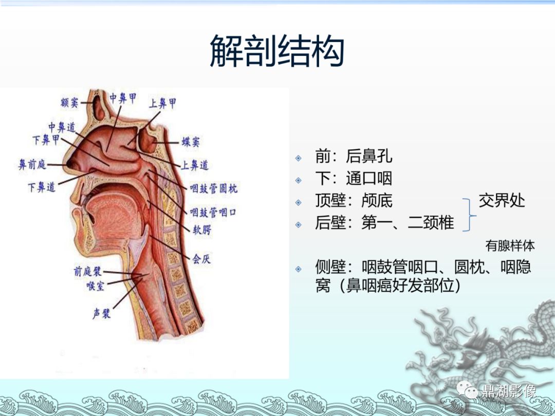 【PPT】鼻咽癌的CT诊断与鉴别诊断