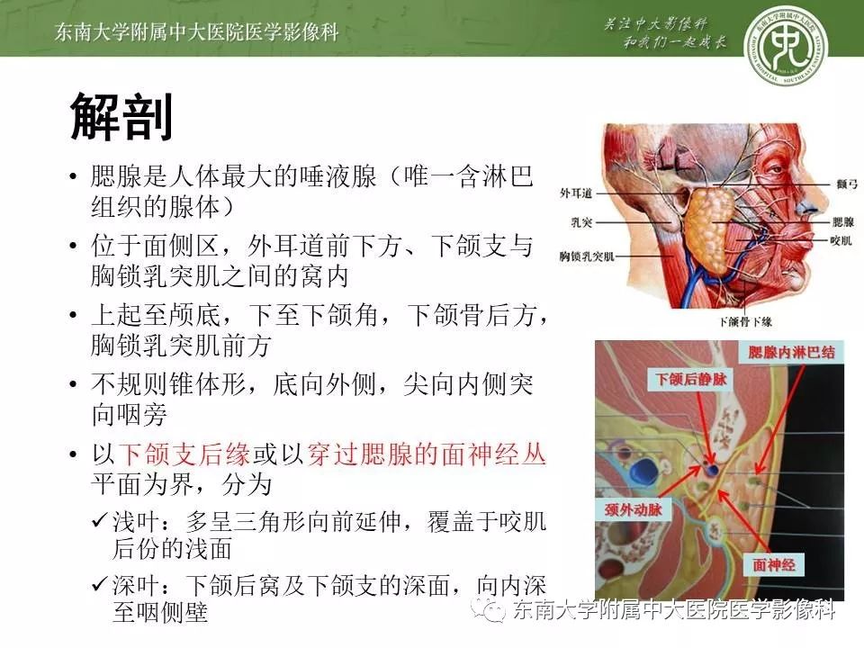 【病例】腮腺腺淋巴瘤1例CT及MR影像