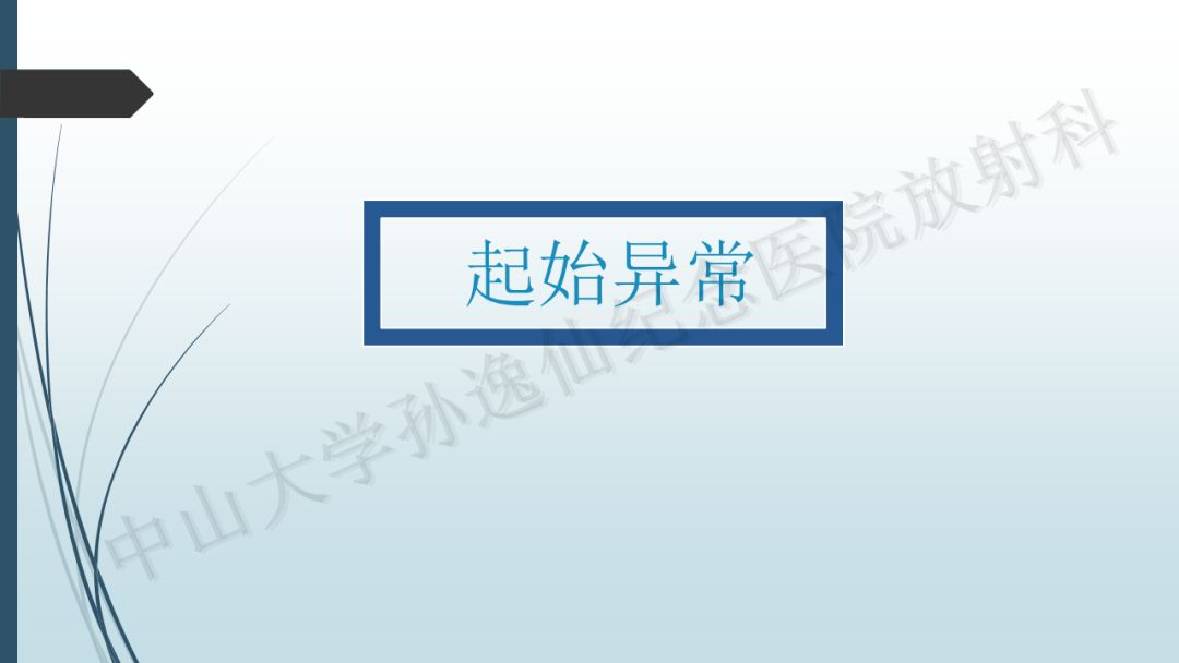 【PPT】冠脉CTA解剖变异
