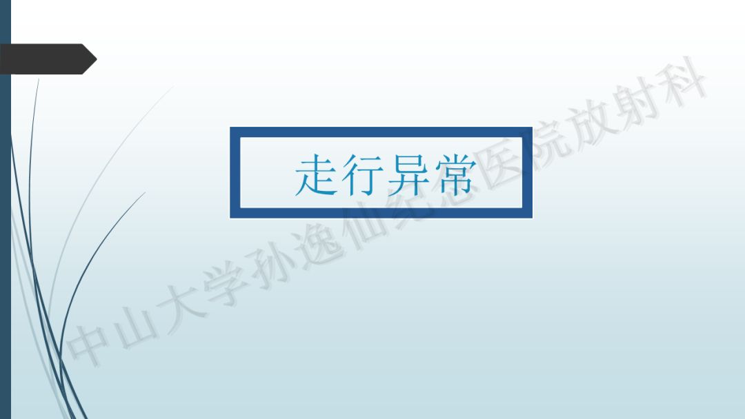 【PPT】冠脉CTA解剖变异