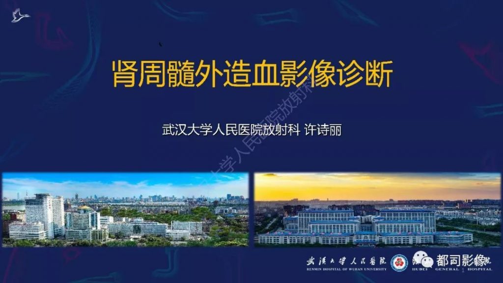 【PPT】肾周髓外造血影像诊断