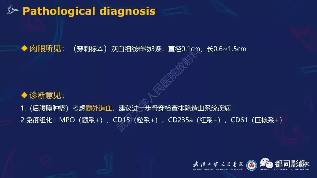 【PPT】肾周髓外造血影像诊断